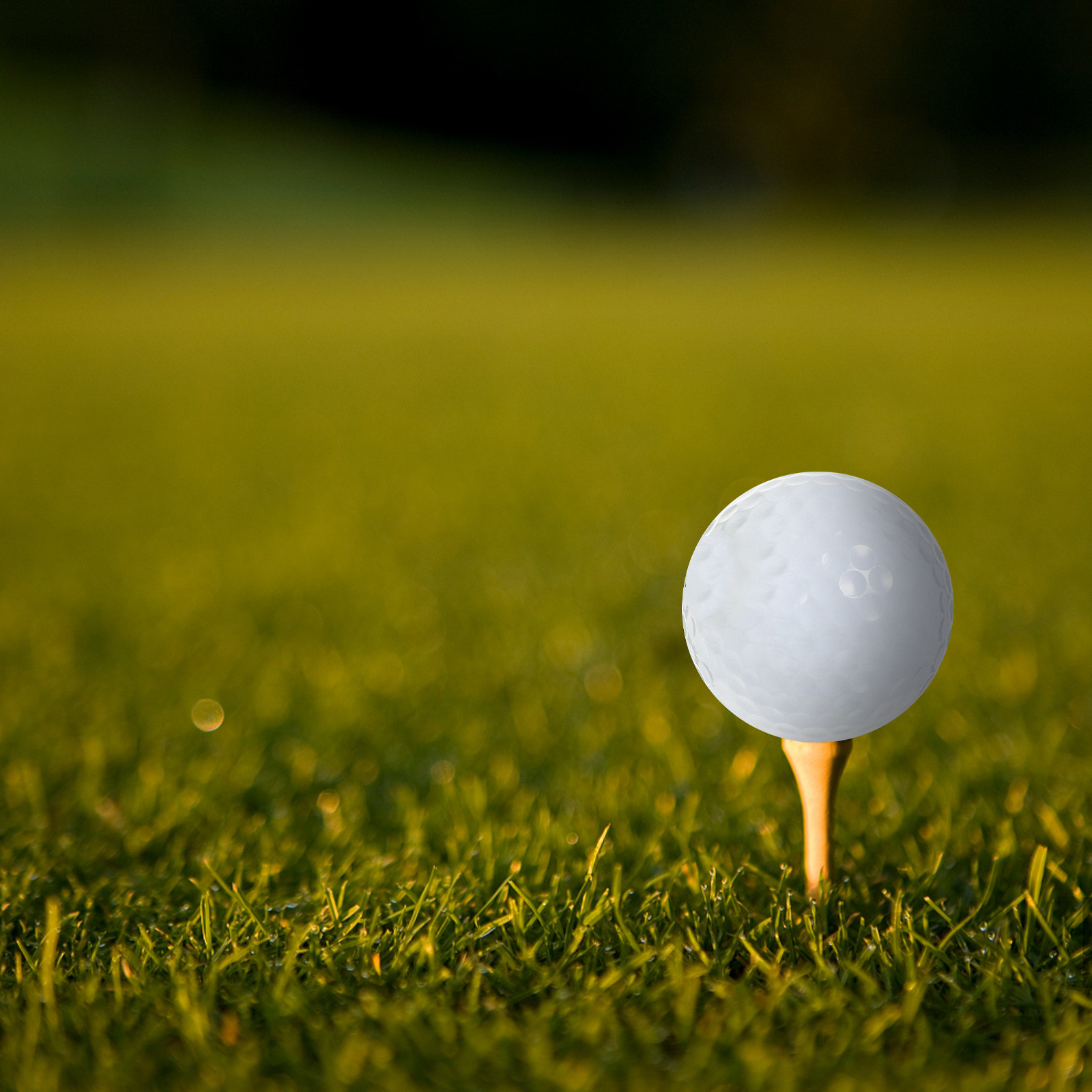 Bolas de golfe para prática em - Golf Equipment Beginners avaliação e preço